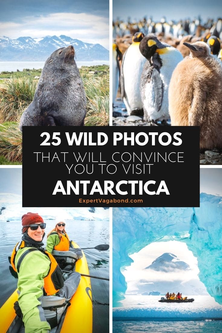 25 Wild Photos That Will Convince You To Visit Antarctica! 25 Wild Photos That Will Convince You To Visit Antarctica! #Antarctica #adventure #Travel