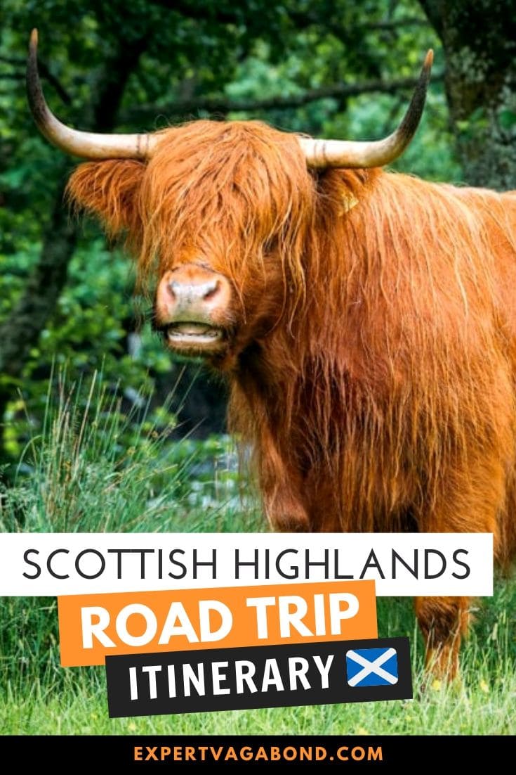 Driving The Scottish Highlands: Mountains, Lochs, and Glens! Take a look at my Scotland Highlands road trip itinerary to get some inspiration for your next adventure. ExpertVagabond.com Driving The Scottish Highlands: Mountains, Lochs, and Glens! Take a look at my Scotland Highlands road trip itinerary to get some inspiration for your next adventure. ExpertVagabond.com #Scotland #UnitedKingdom #Roadtrip #Adventure #Travel