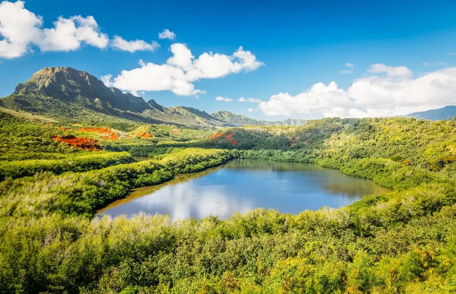 What to Do On Kauai: Alekoko Fishpond