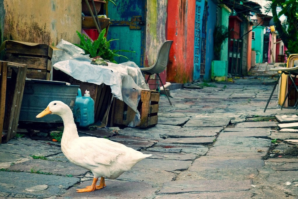 Back Alley Veracruz Mexico Back Alley Veracruz Mexico