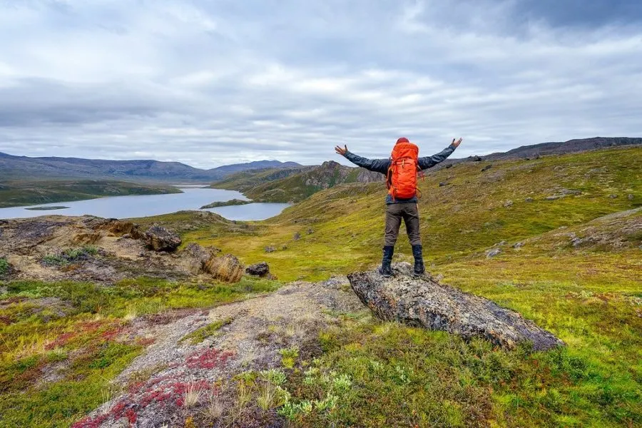 Wild Greenland