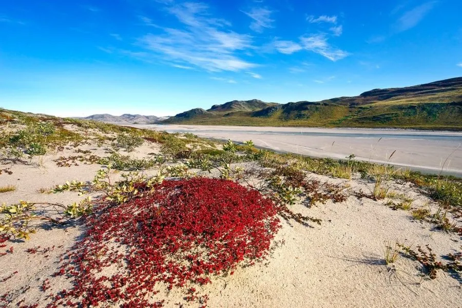 Desert in Greenland