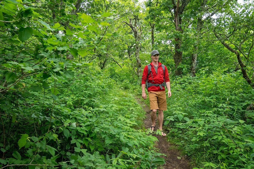 Many Fun Hikes in the Mountains Hiking around Asheville