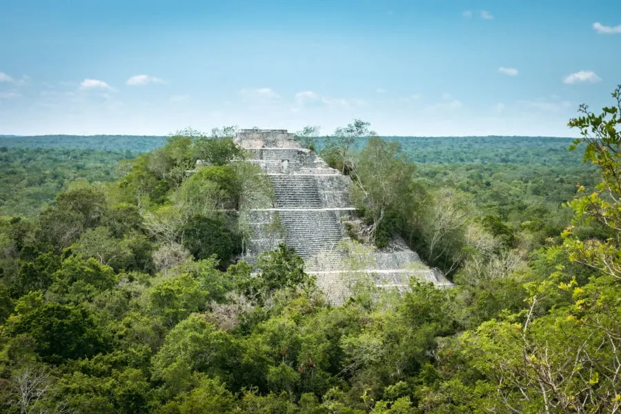 Pyramid Enveloped by Jungle