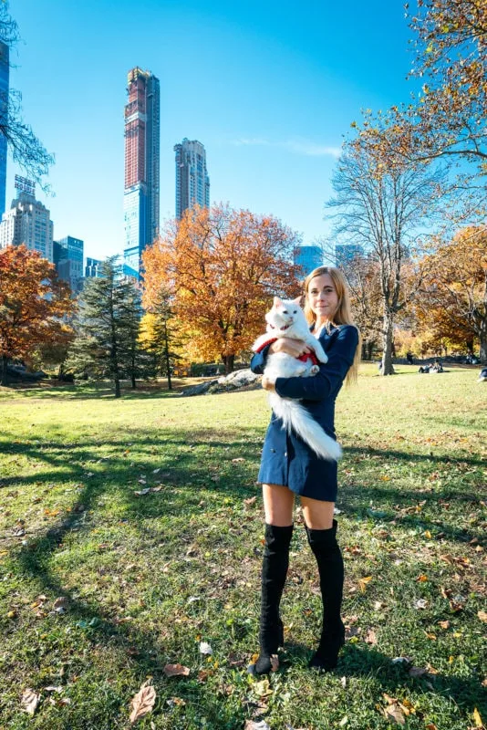 Central Park in New York