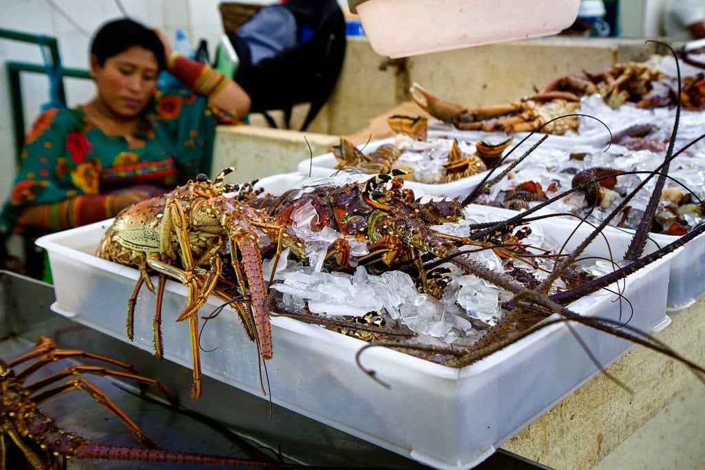 Panama City Fish Market