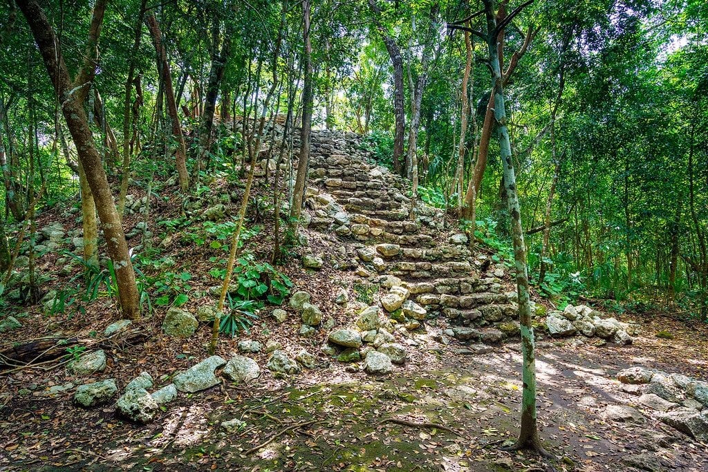 Overgrown Ancient Ruins Coba Ruins Trees