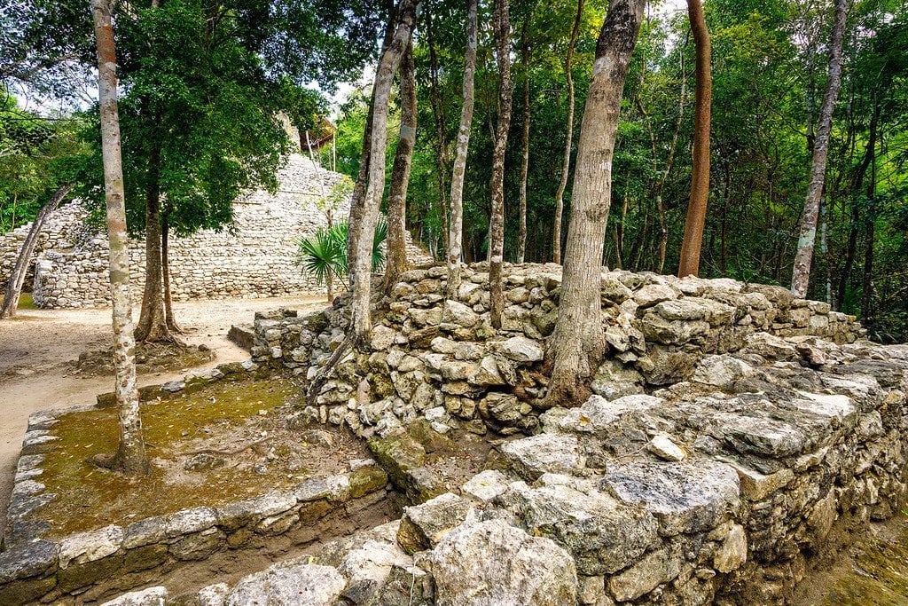 Trees Growing from Stone Walls Coba Trails and Paths