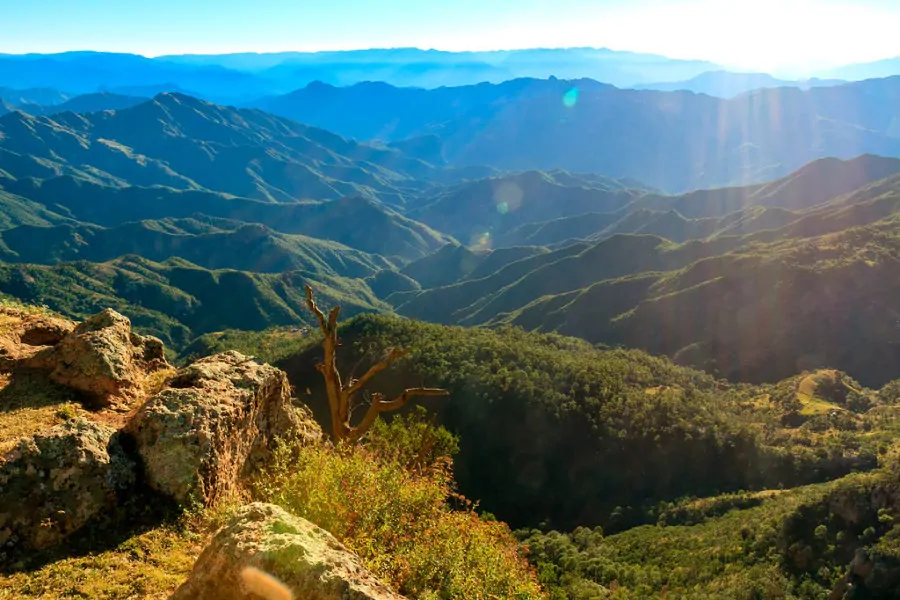 Copper Canyon Mexico