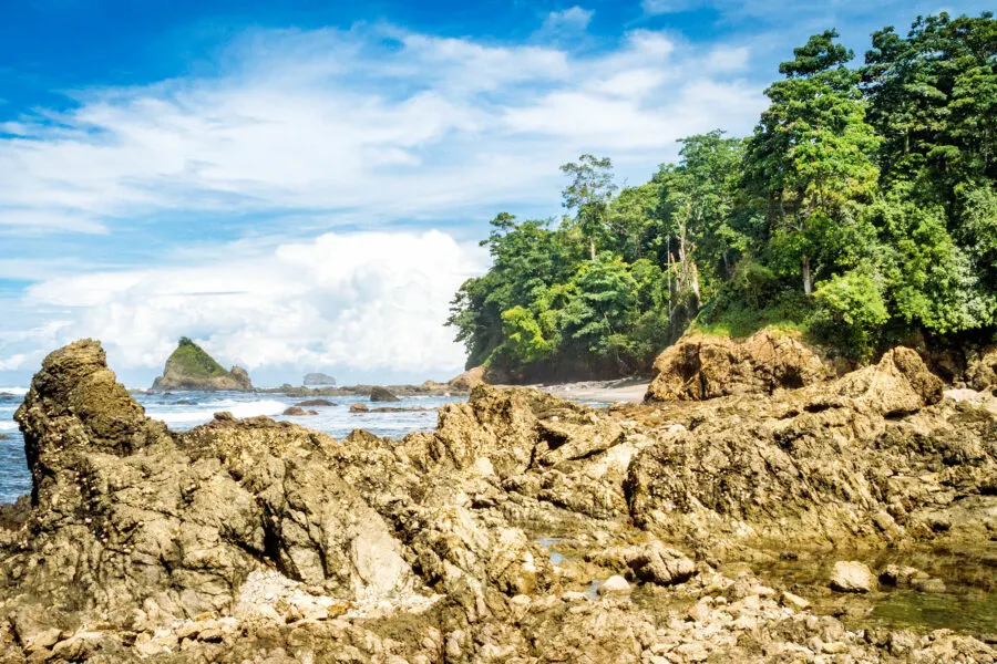 Costa Rica Travel Guide: Corcovado