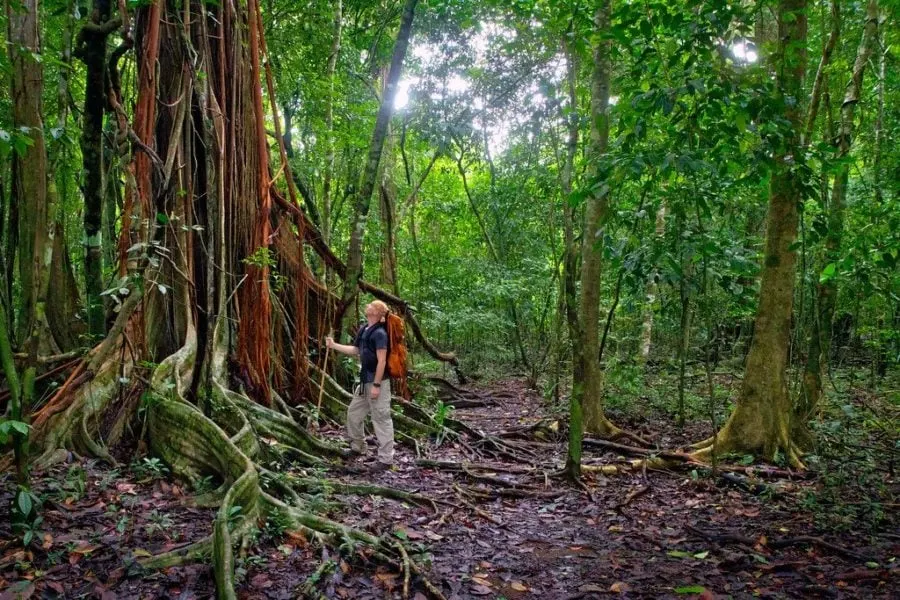 Hiking in Corcovado Costa Rica