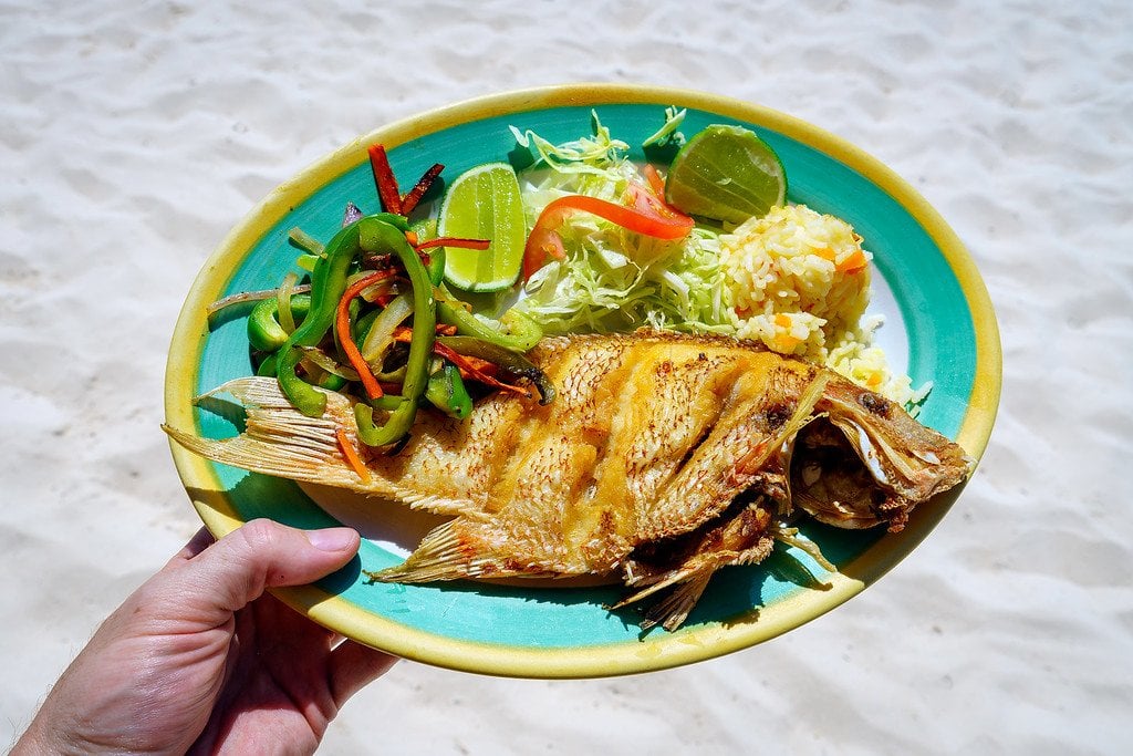 Fresh Fish for Lunch Fresh Fish Mexico