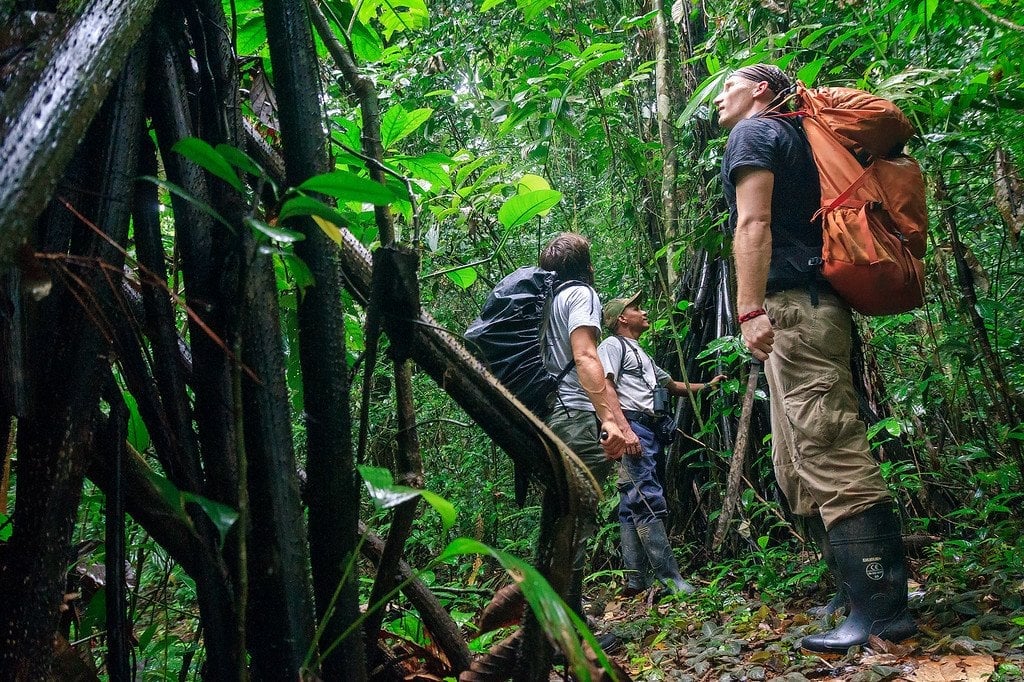 Jungle Trekking in Panama Protecting Against Tropical Disease