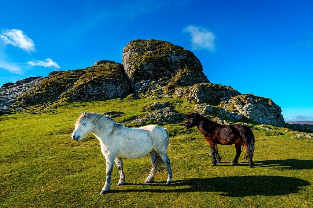 Road Tripping Dartmoor National Park Road Tripping Dartmoor National Park