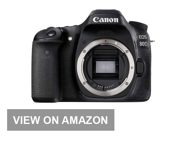 canon 80d for traveling - the 10 best cameras for travel instagram 2019