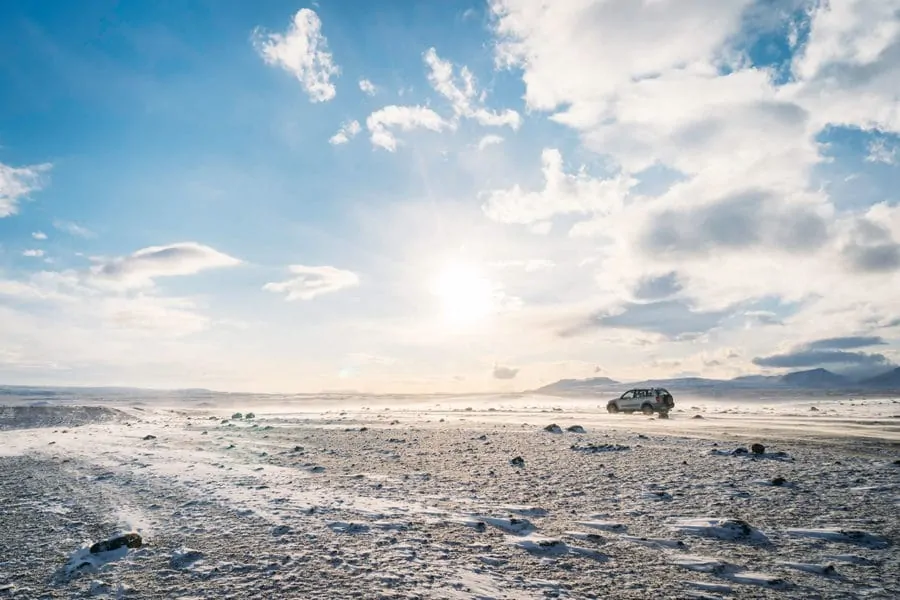 Facts About Iceland: They Used to Have Trees