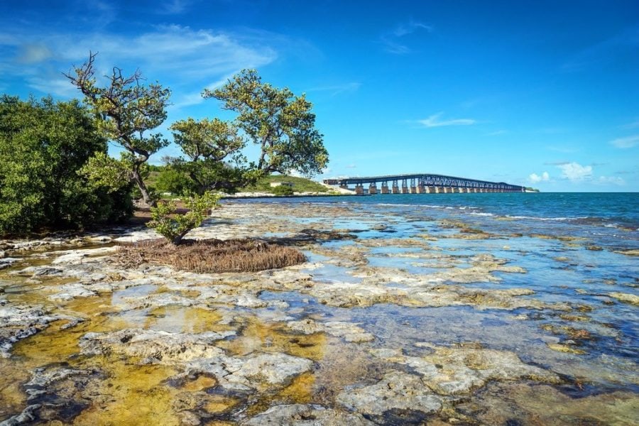 Abandoned Railroad Bridge in the Florida Keys