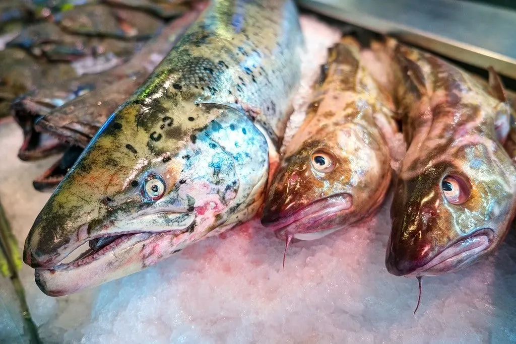 Gothenburg Fresh Fish