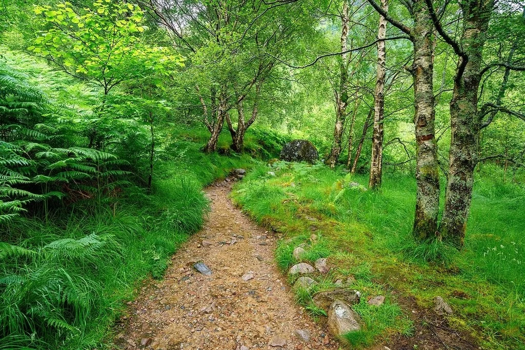 Hiking in the Scottish Highlands