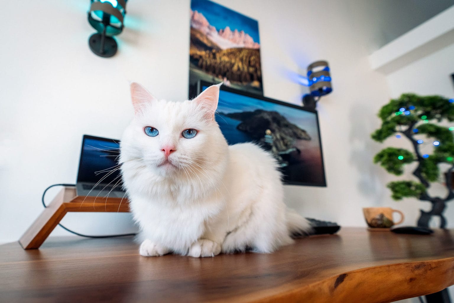 15 Best Gifts For People Who Work From Home (2022)