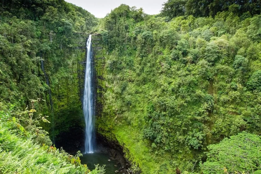 Big Island Waterfalls