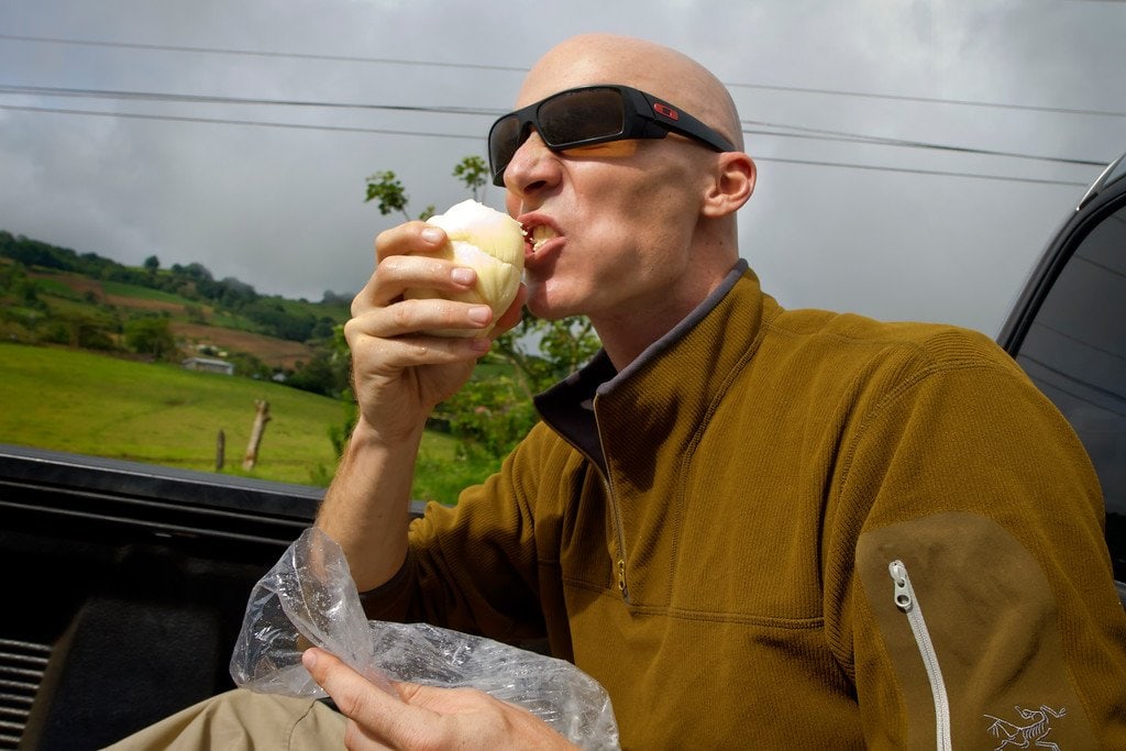 Attacking my Ball of Queso Palmito Road Cheese Irazu Costa Rica