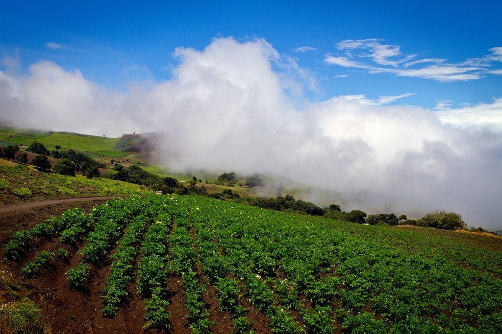 Farming Above the Clouds Farming Volcano Irazu Costa Rica