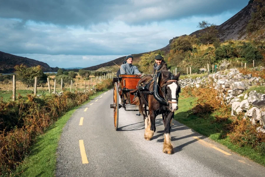 Jaunting Horse Rides