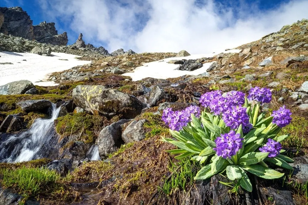 Kackar Mountains Turkey