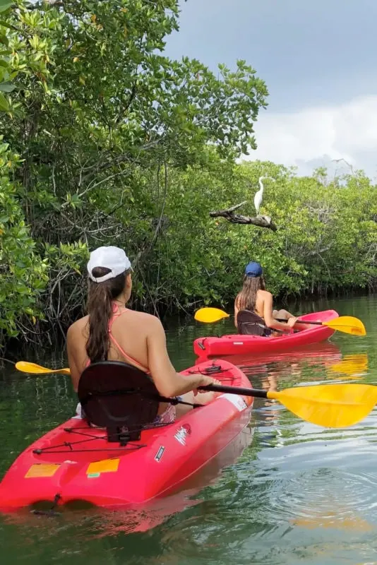 Kayaking Trips in Cancun