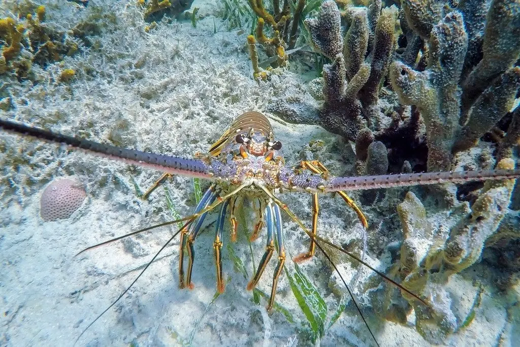 Key West