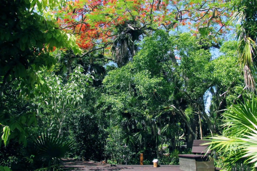 Key West Botanical Gardens