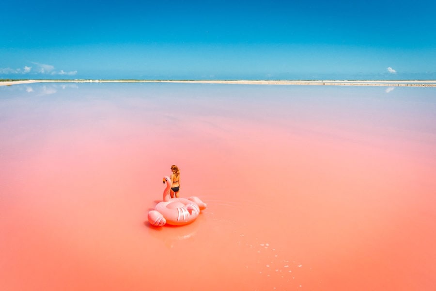 Las Coloradas Pink Lakes Flamingo