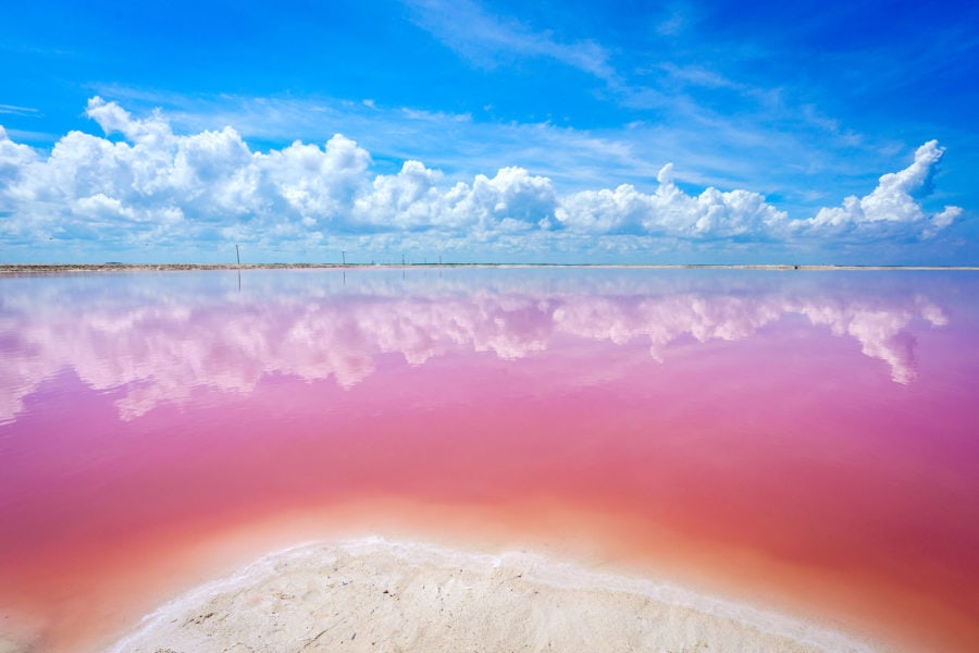 The Pink Ocean Of Los Coloradas Is A Bucket List Must! - Indie88