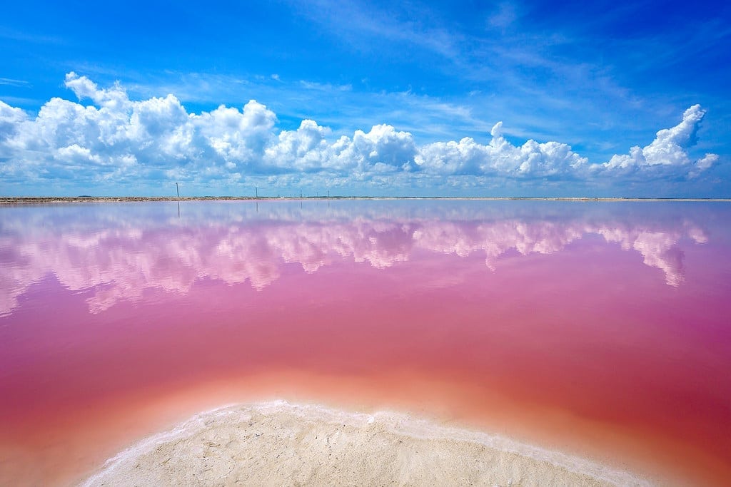 Amazing Pink Lakes of Las Coloradas Las Coloradas in the Yucatan Peninsula