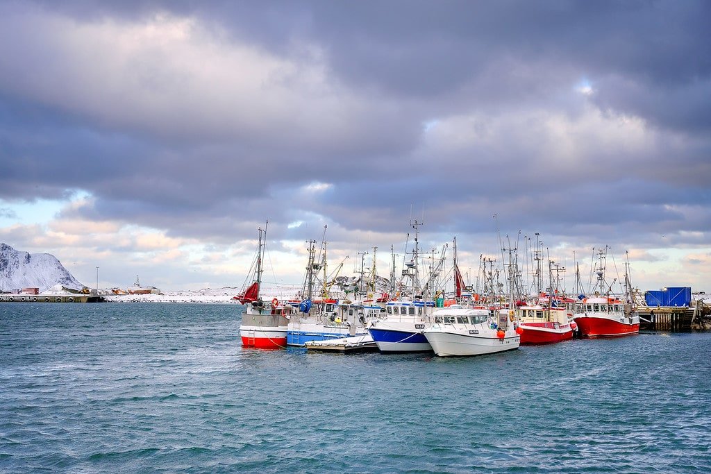 Lofoten Islands Fishing