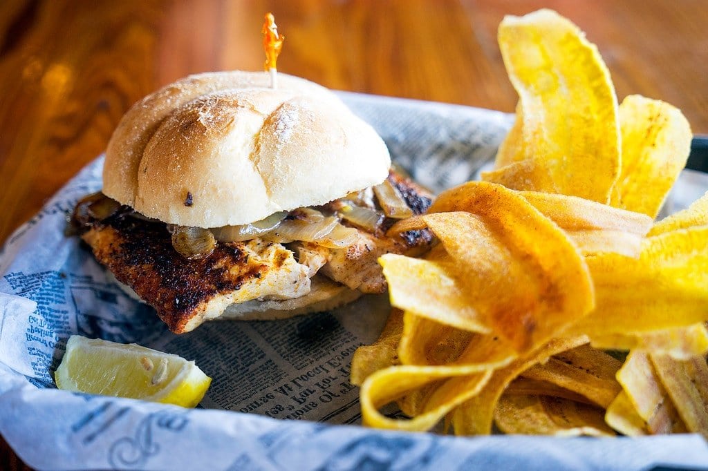 Tasty Fish Sandwhich for Lunch