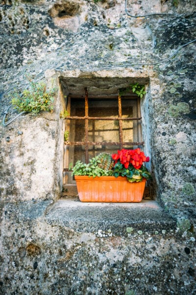 Window Flower Box