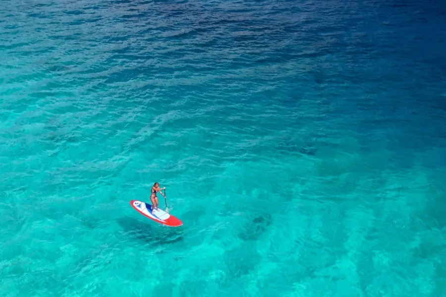 Stand Up Paddle Boarding