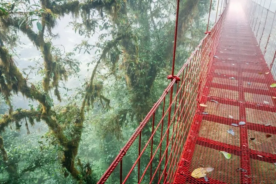 Bridge Monteverde Costa Rica