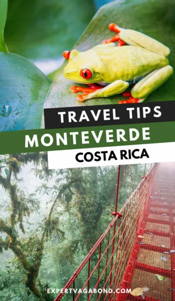 Tips for visiting Monteverde cloud forest in Costa Rica