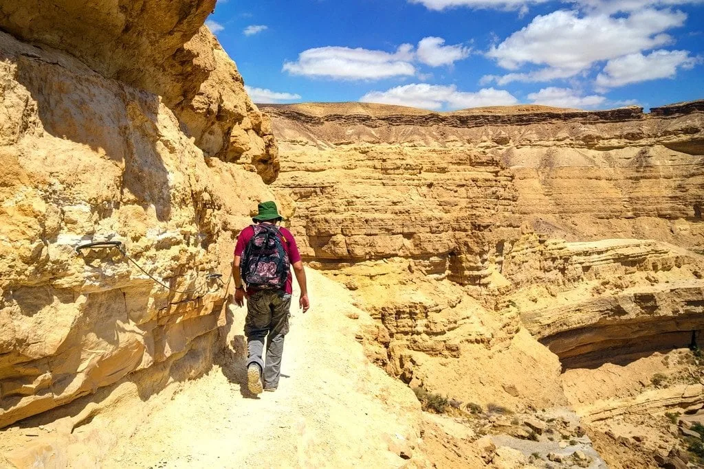 Wadi Canyon Negev Desert