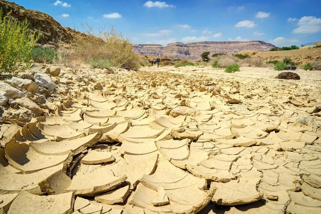 Negev Desert Israel