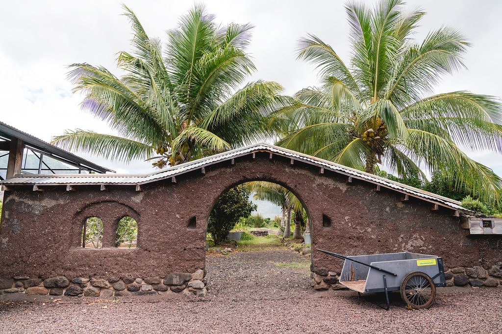 Organic Farm in Hawaii