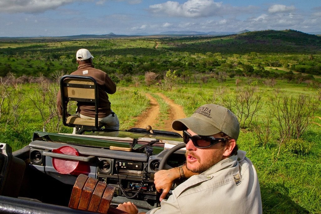 Morning Game Drive at Phinda Game Drive Phinda South Africa