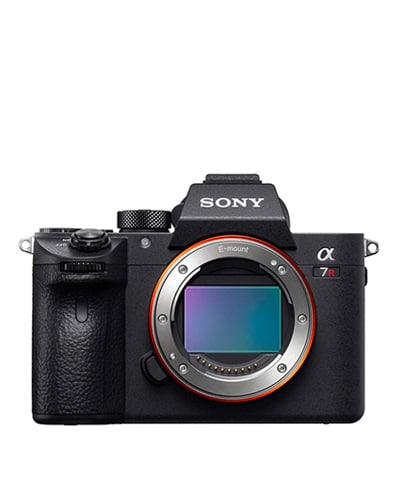 Sony Travel Camera