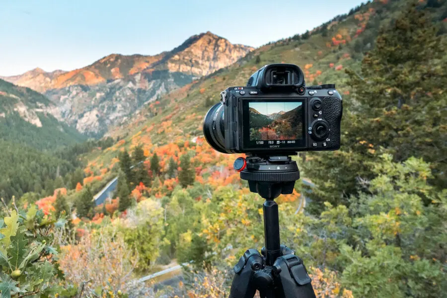 From portraits to travel snapshots, here are the best cameras for