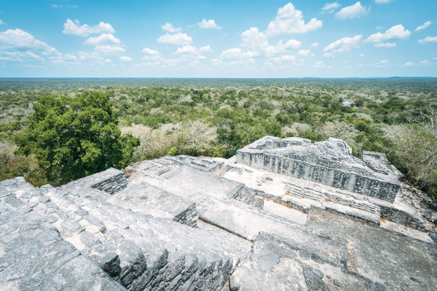 Jungle Pyramid in Mexico