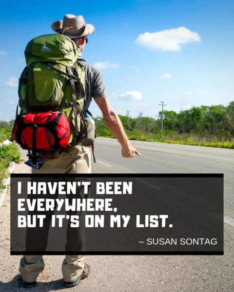 Susan Sontag Quote