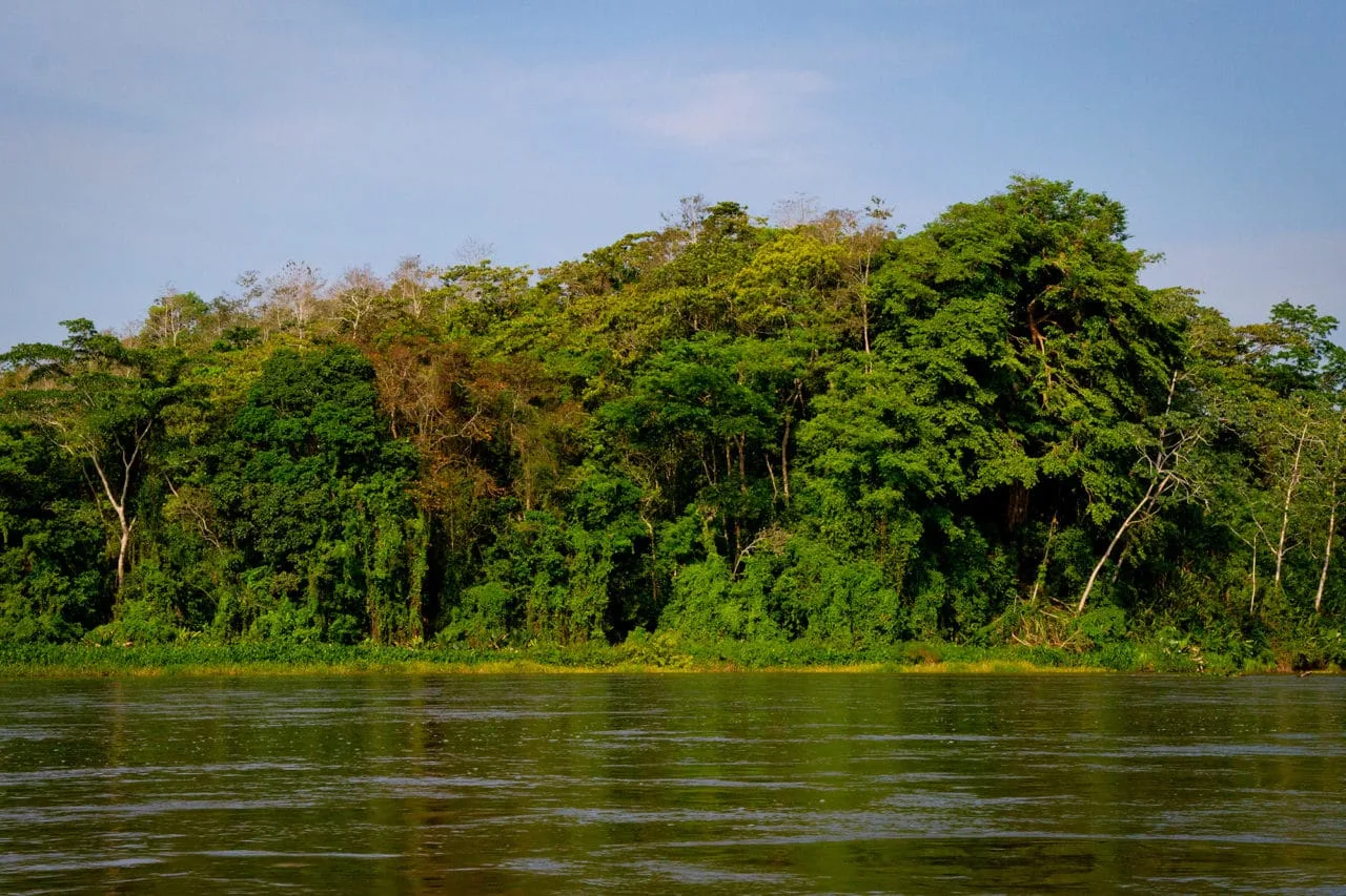 Rio San Juan Nicaragua Jungle
